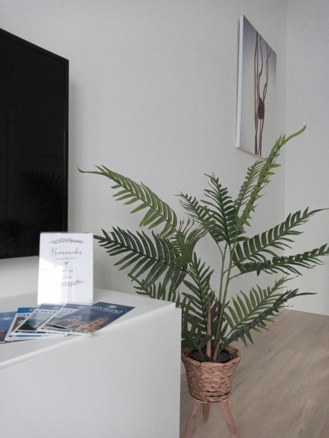 오비에도 La Terraza De La Vega - Ubicacion Inmejorable , Wifi , Terraza Y Parking Gratuito 아파트 외부 사진